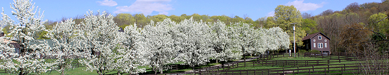 Kids Rockland KidsRockland.com